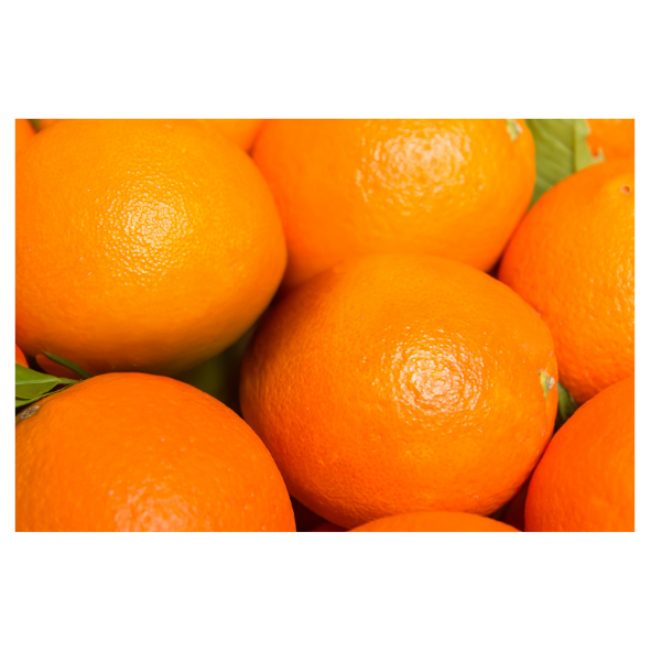Oranges - Valencia - Each