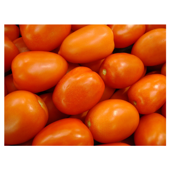 Tomatoes - Roma - Each