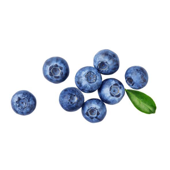Blueberries - Punnet