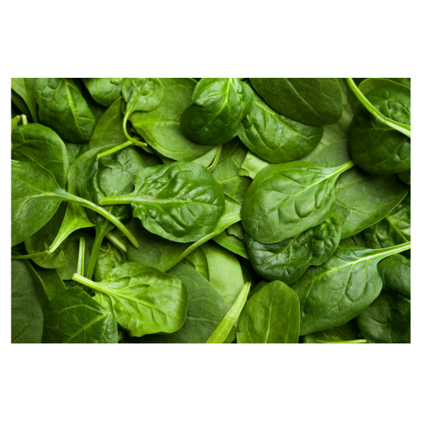 Lettuce - Baby Spinach - Punnet - 100g