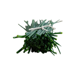 Herbs - Chives Onion - Bunch