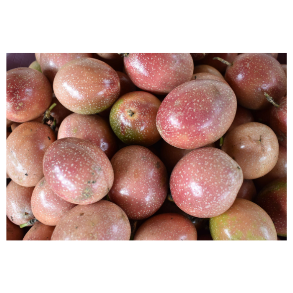 Passionfruit - Each