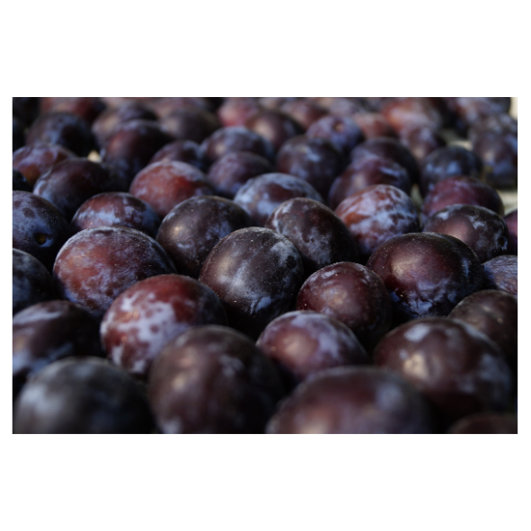 Plums - 1kg