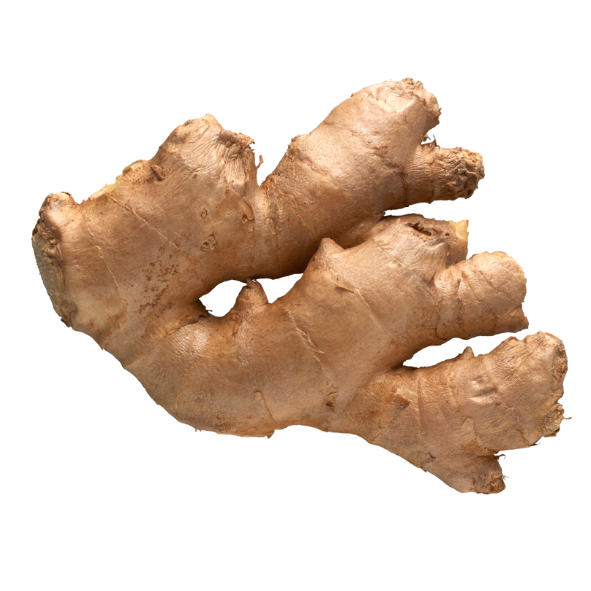 Ginger