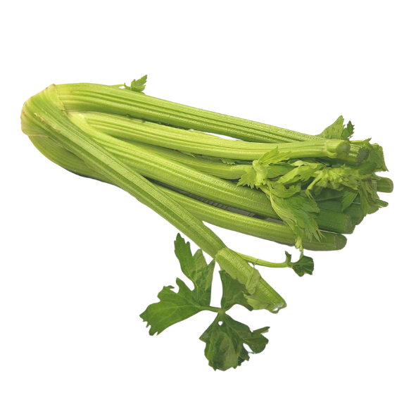 Celery - Bunch