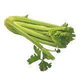 Celery - Bunch